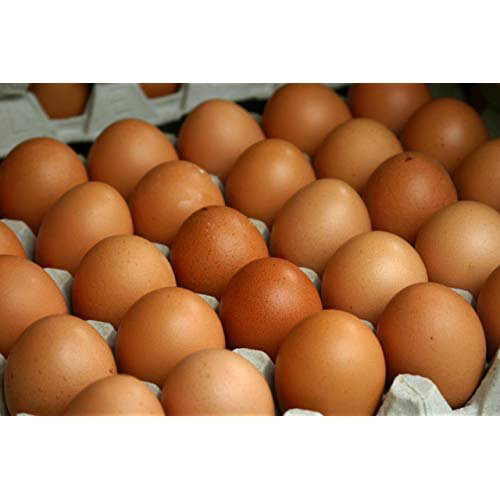 Extra Large Brown Eggs – Goffle Road Poultry Farm